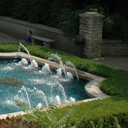 Garden full